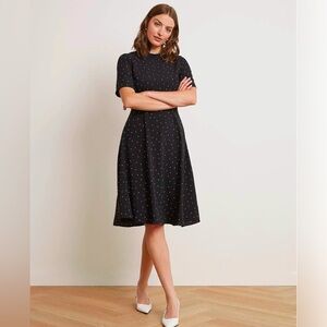 RW & Co Swing Fall Dress